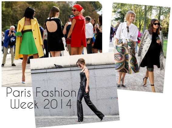 paris fashion week tutle
